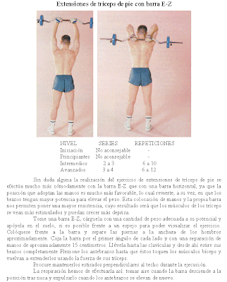 biceps barra z de pie